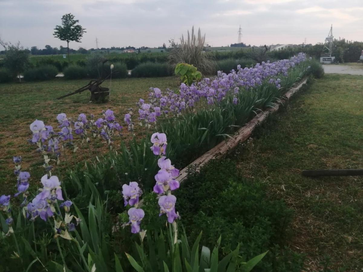 卡斯特努沃德加尔达Ca' Blanca住宿加早餐旅馆 外观 照片